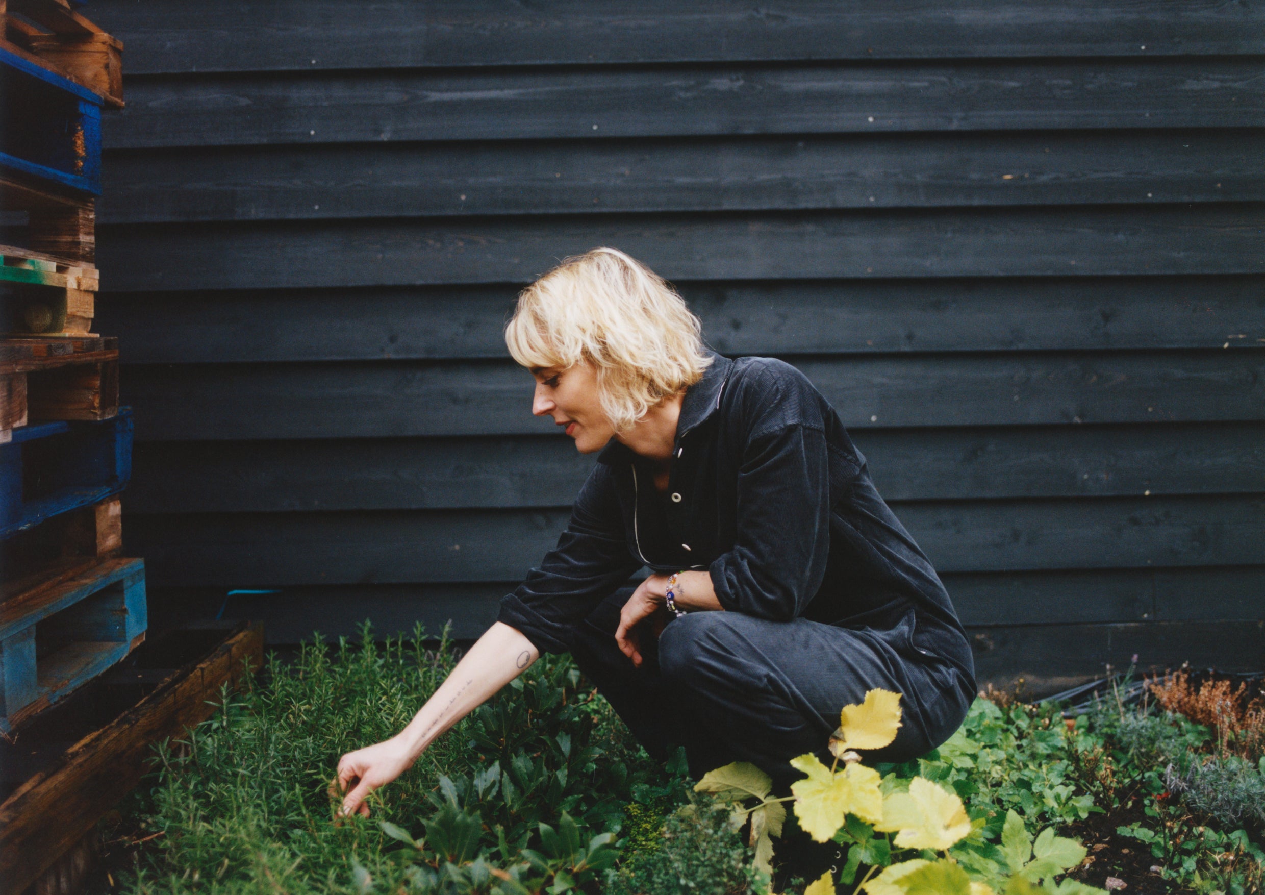A person picking herbs