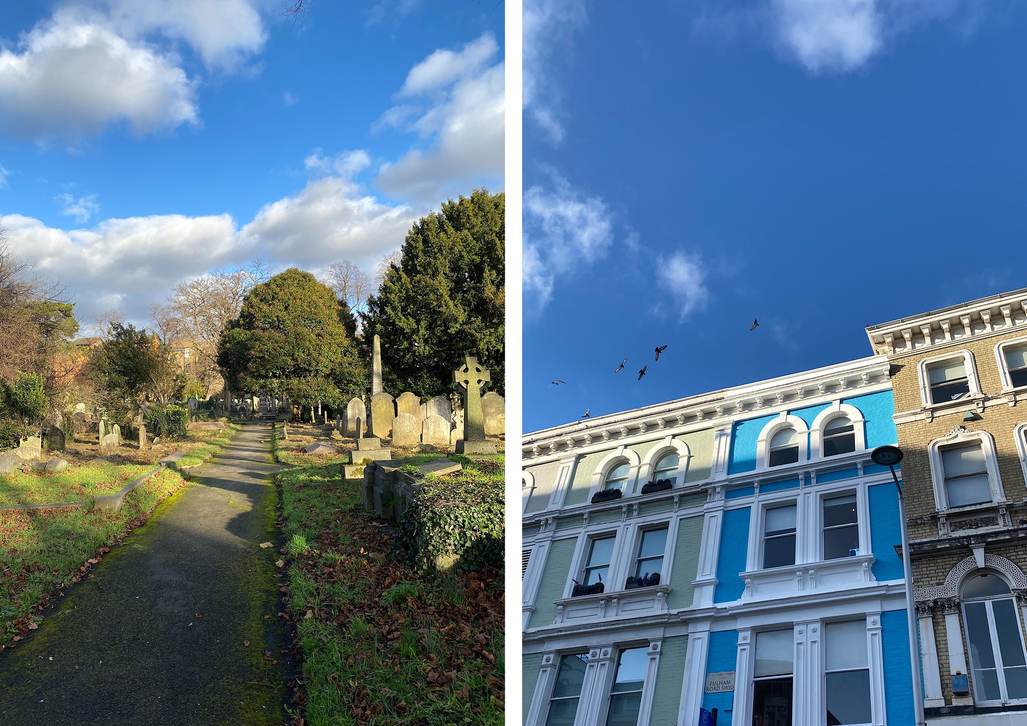 A park and colourful buildings against a blue sky