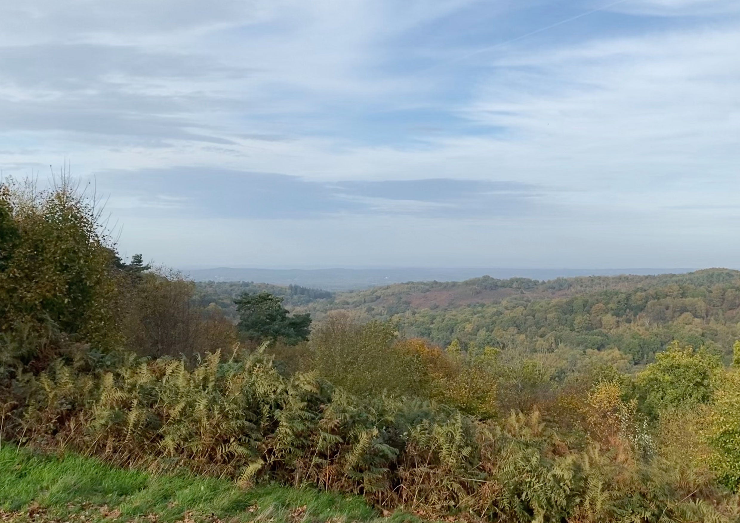Views of the countryside