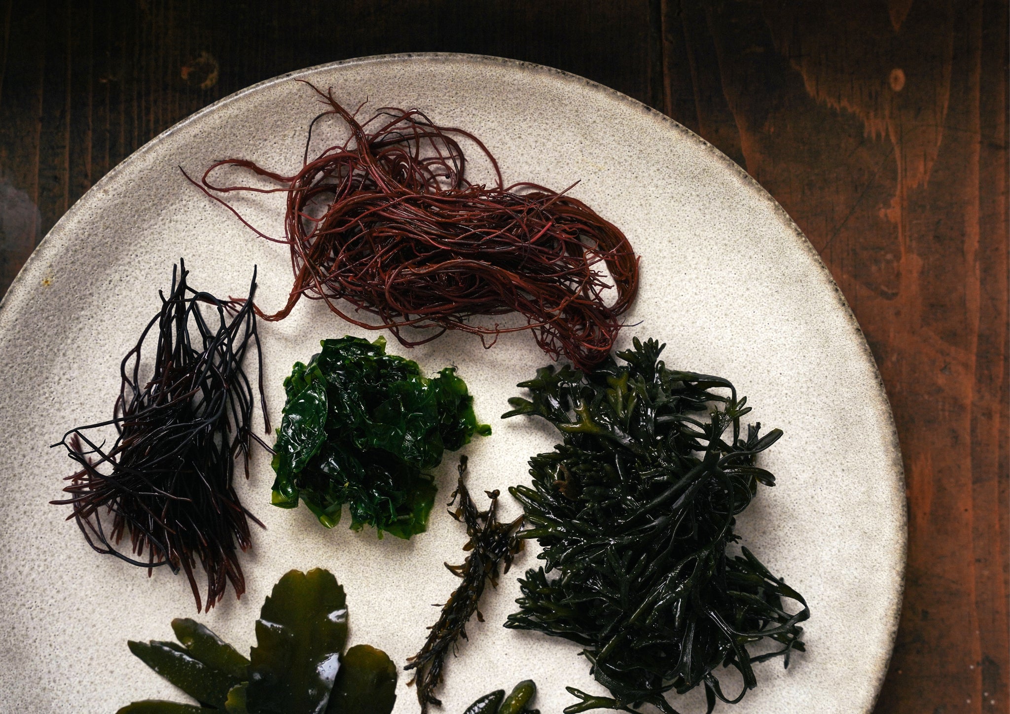 Seaweed on a plate