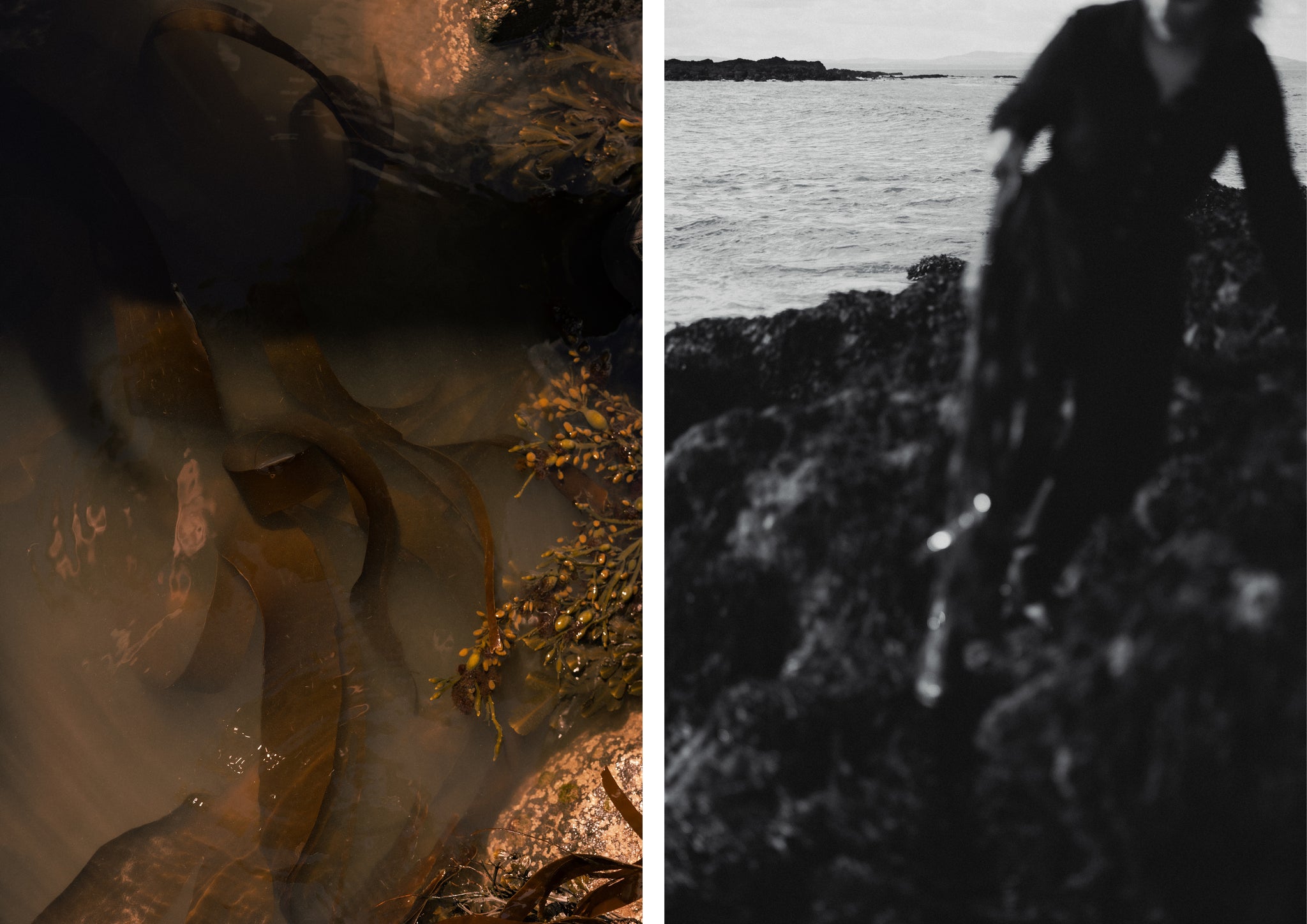 Seaweed and woman picking seaweed