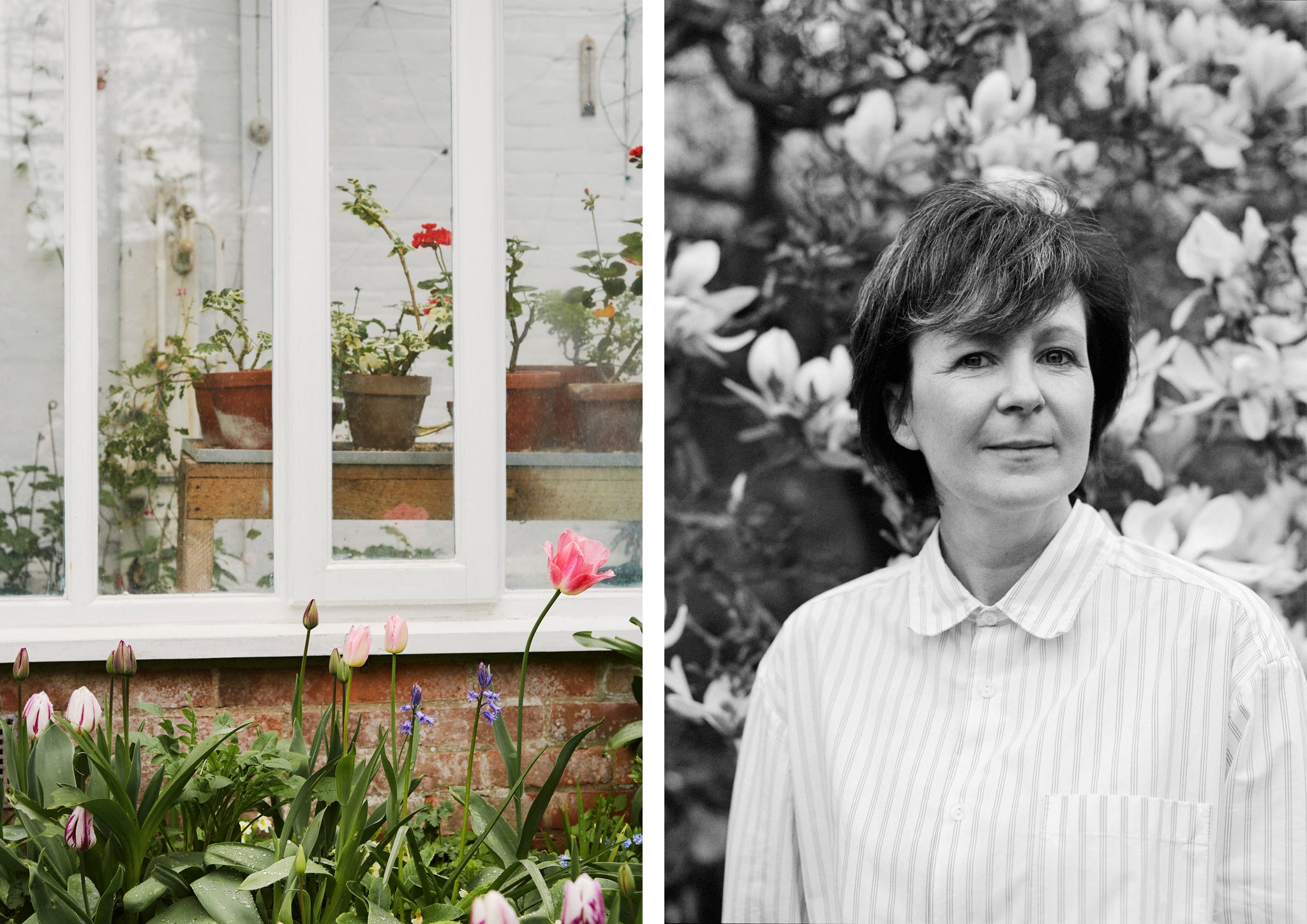 Flowers and head shot of a female author