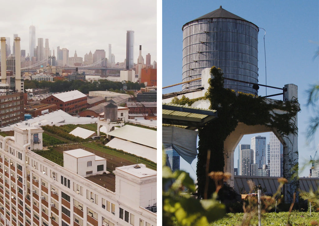 Brooklyn Grange